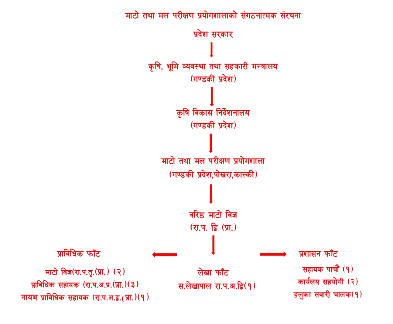 Organizational Structure